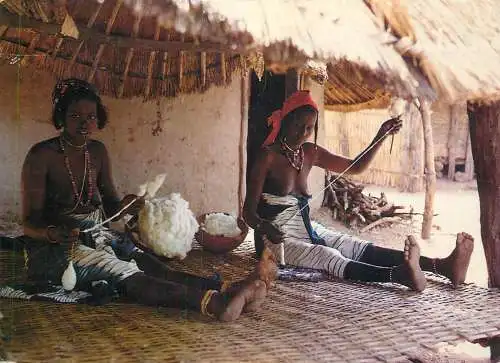 Gambia cotton teaselers