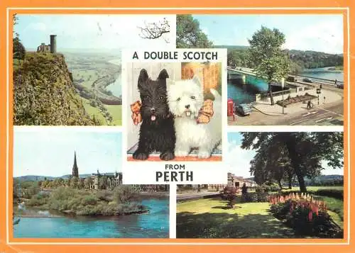 Scotland Perth souvenir multi view and dog types
