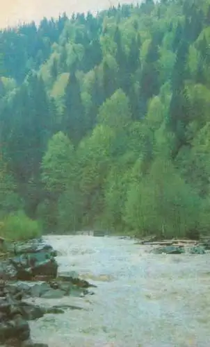 A5112 Carpathian river