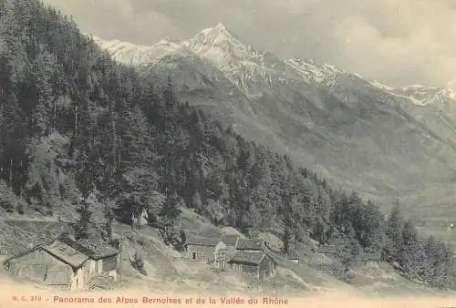 A5110 Alpes Bernoises et la Vallee du Rhone