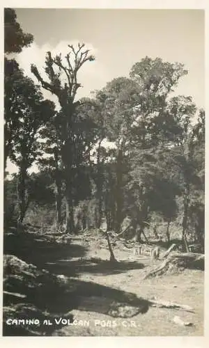 A5110 Costa Rica Camino al Volcan Poas photographic postcard