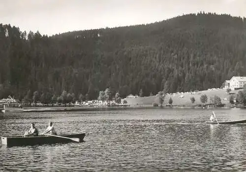France Gerardmer le bout du lac