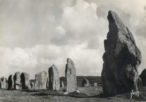 France Carnac alignement de Ker Menec