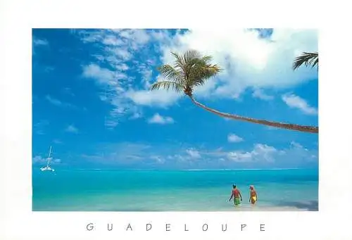 Guadeloupe marine scenery