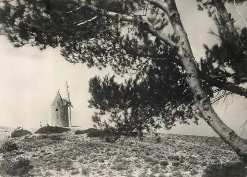 France Fontvieille moulin de Daudet