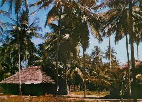 Kenya Mudand grass typical house on the coast