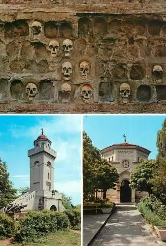 Sebria Cegar multi view