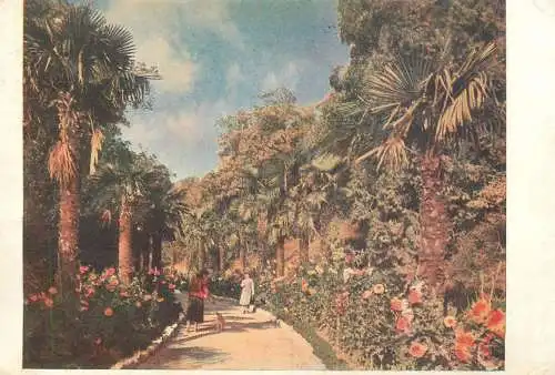 Ukraine Crimeea Nikita Botanical Garden