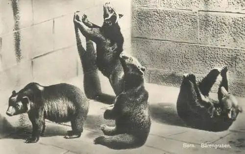 A5040 Schweyz Bern Barengraben