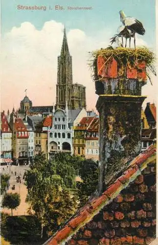 A5266 France Strasbourg stork nest