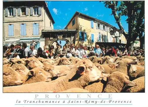 A5261 France Saint Remy de Provence - La Transhumance