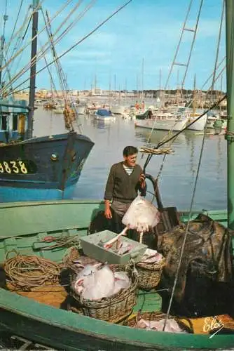 A5261 France chalutier de Royan decharge son poisson