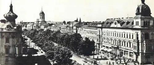 Romania Arad B-dul Republicii tramway postcard foto Clara Spitzer RPR extra large 9 x 20 cm