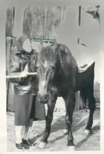 Anonymous person old woman near horse souvenir photo