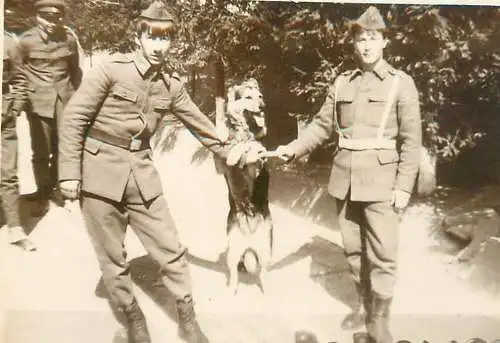 Romaian army military dog training