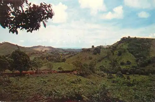 A5695 Puerto Rican scenery