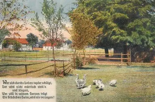 A5737 Austria Landschaft AK