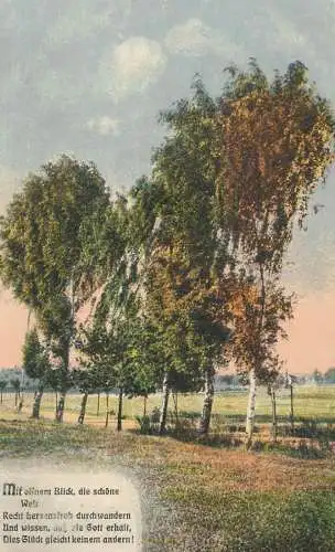 A5737 Austria Landschaft AK