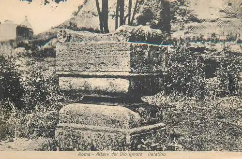 A5760 Italia Roma Altare del Dio Ignoto Palatino