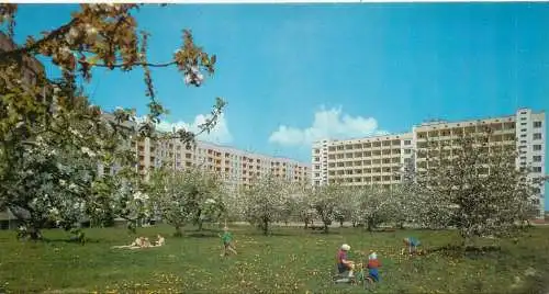 Belarus Minsk new district non-standard  10 x 21 cm postcard