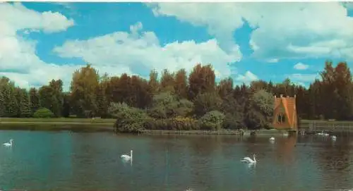 Belarus Minsk botanical gardens non-standard  10 x 21 cm postcard