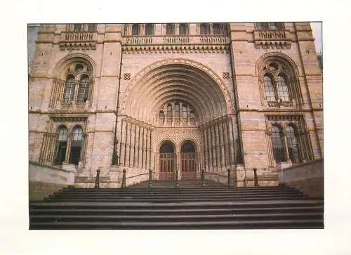 England London Natural History Museum non-standard  12 x 17 cm postcard