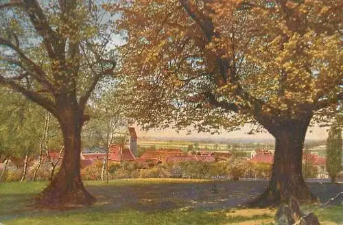 A5763 Postcard color-photography from nature direct landscape with trees correspondence Turin - Genoa 1915