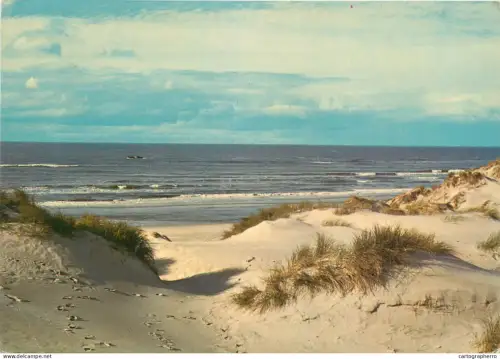 A5311 Netherlands Texel sand and dunes beach view