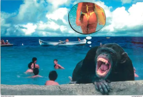 A5309 Romania littoral types and scenes souvenir postcard