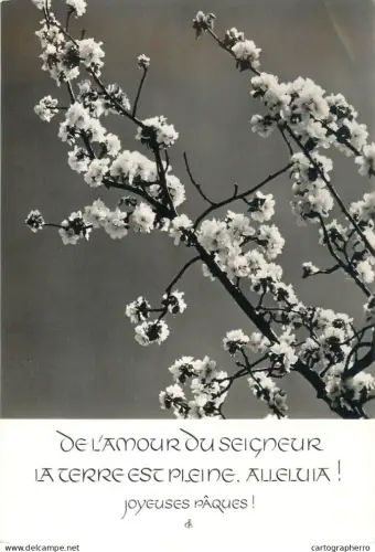 A5308 Easter greetings blossom tree branch detail aspect