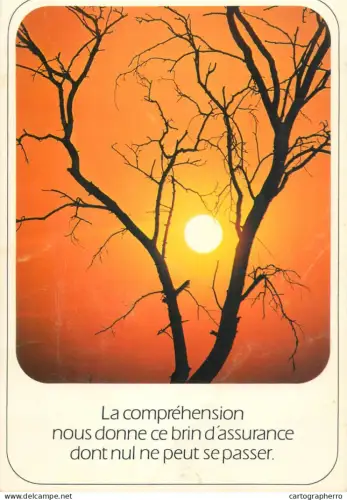 A5308 Picturesque sunset view