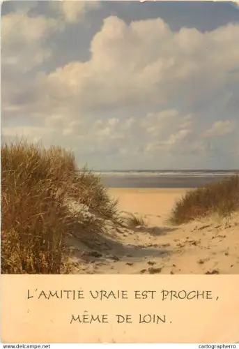 A5308 Littoral belge - Belgian coast - Dunes
