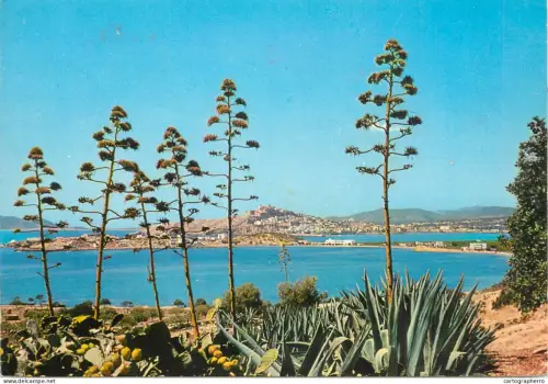 A5307 Spain Ibiza Baleares vista desde Martinet