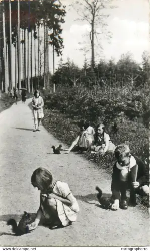 A5815 Bad Wörishofen children feeding squirrels