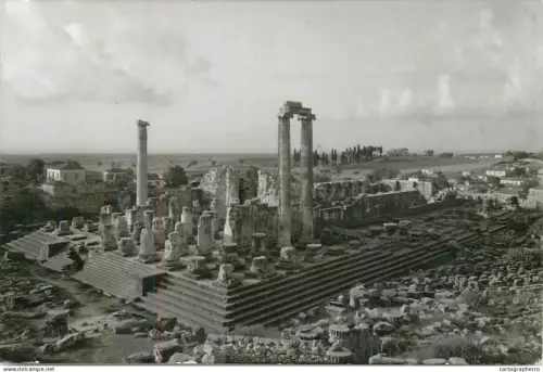 A5815 Didim Didyma Temple of Apollo