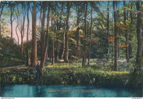 A5814 Bredstedt im Wald AK