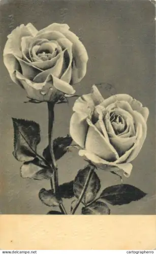 A5301 Holidays and celebrations greetings roses flowers