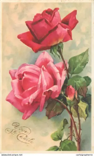 A5301 Holidays and celebrations Ste Cecile greetings pink roses