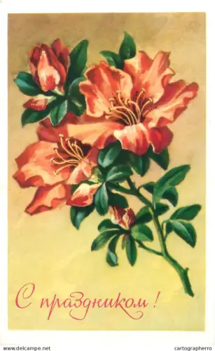 A5301 Holidays and celebrations greetings flower bouquet artwork