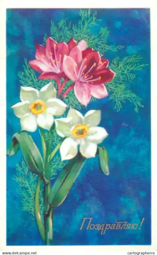 A5301 Holidays and celebrations greetings daffodils flowers illustration