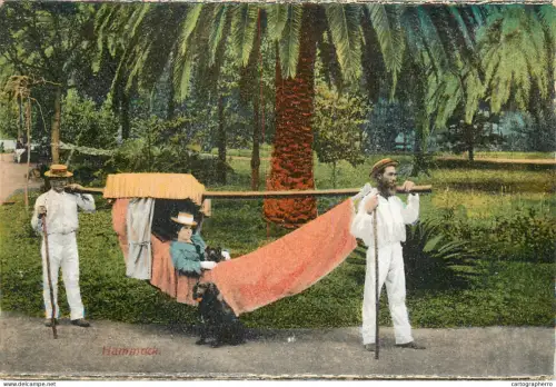 A5799 Madeira Hammock King's Carrier