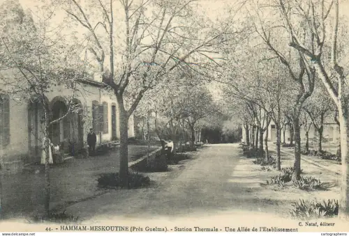 A5799 Guelma Hammam Maskhoutine