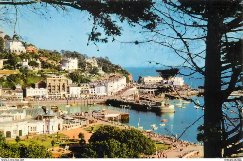 A5300 England Torquay Gardens Cotman Color-Series Postcard