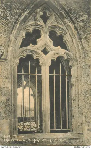A5299 Ireland Co. Louth Mellifont Abbey Chapter House north window