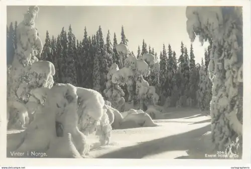 A5801 Norge Norway Norvège winter landscape RPPC