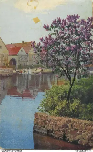 A5288 Fine art postcard blooming lilac tree house riverbank scenery
