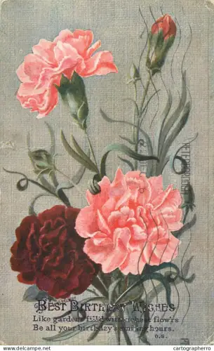 A5287 Carnations greetings illustration