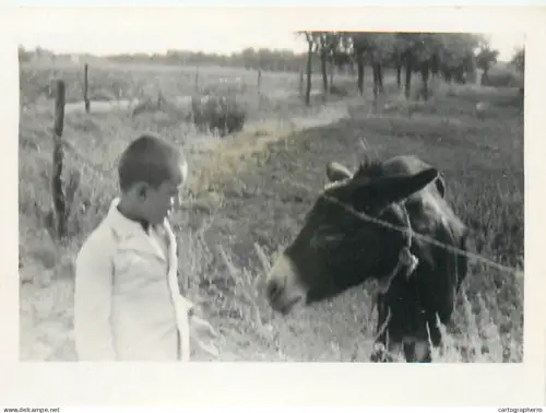 Anonymous persons boy & donkey snapshot photo