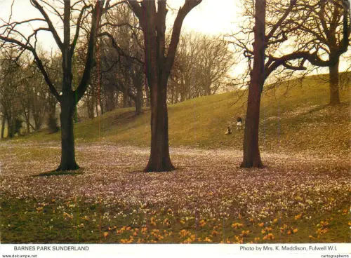 A5283 England Sunderland Barnes Park autumn colours