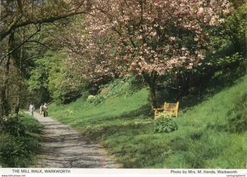 A5283 England Warkworth - Mill Walk